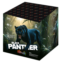 Color Bum Black Panther 49s CB402 RKC103  F3  2/1