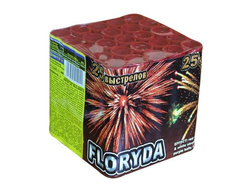 Florida 25s P7048 24/1