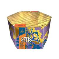 Sens 61s SFCM1761C  F3  2/1