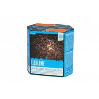 Eisblume 13s AC30-13-37  F2  8/1