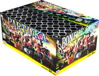 Particka Bonfire Gang 88s C8825PA  F3  2/1