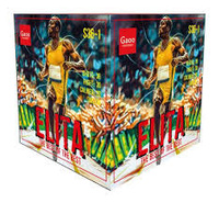 Elita 36s S36-1  F2  6/1