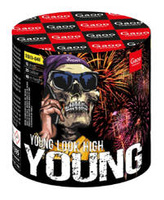 Young 13s SS13-04I  F2  9/1