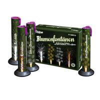 Blumenfontanen FF-16MIX125  F2  60/4