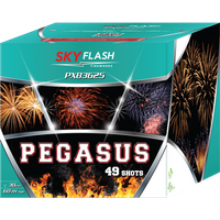 Pegasus Sky Flash 49s PXB3625  F3  2/1 