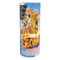 Re-Leone JF31  F2  24/1