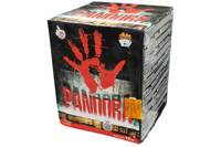 Pandora 2" 16s C165P  F3  3/1