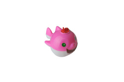 Baby Shark DP1BS  F2 60/1