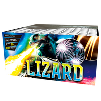 Lizard 100s. JW940  F2  4/1