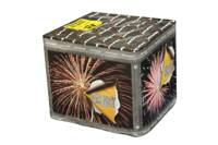 Crazy 27s  TXB048  F2  6/1