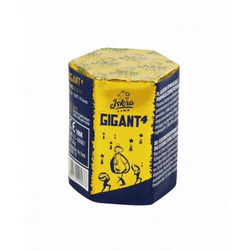 Gigant 4  AC20-7-4  F2  36/1