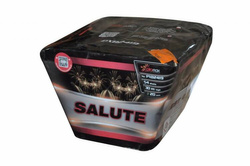 Salute 54s  PXB2419  F2  4/1