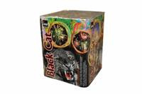 Black Cat 25s JW42 4/1