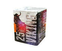 Viking 25s TB195  F2  4/1