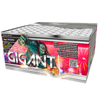 Gigant 100s JW2042  F2  4/1