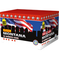 Montana 33s 1495  F2  4/1