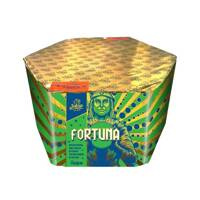 Fortuna 61s SFCM1761B  F3  2/1