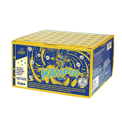 Wampir 100s. IC21-100-1  F2  3/1