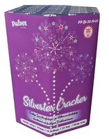 Silvester Cracker 19s PP-BI-30-19-08  F2  6/1