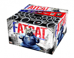 Fat Cat 48s 25/30/50mm C48XMF14  F2  4/1