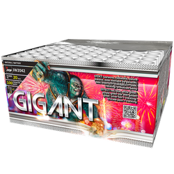 Gigant 100s JW2042  F2  4/1