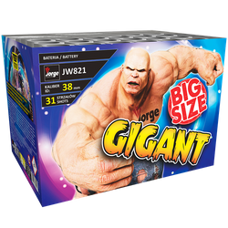 Gigant 31s JW821  F3  2/1